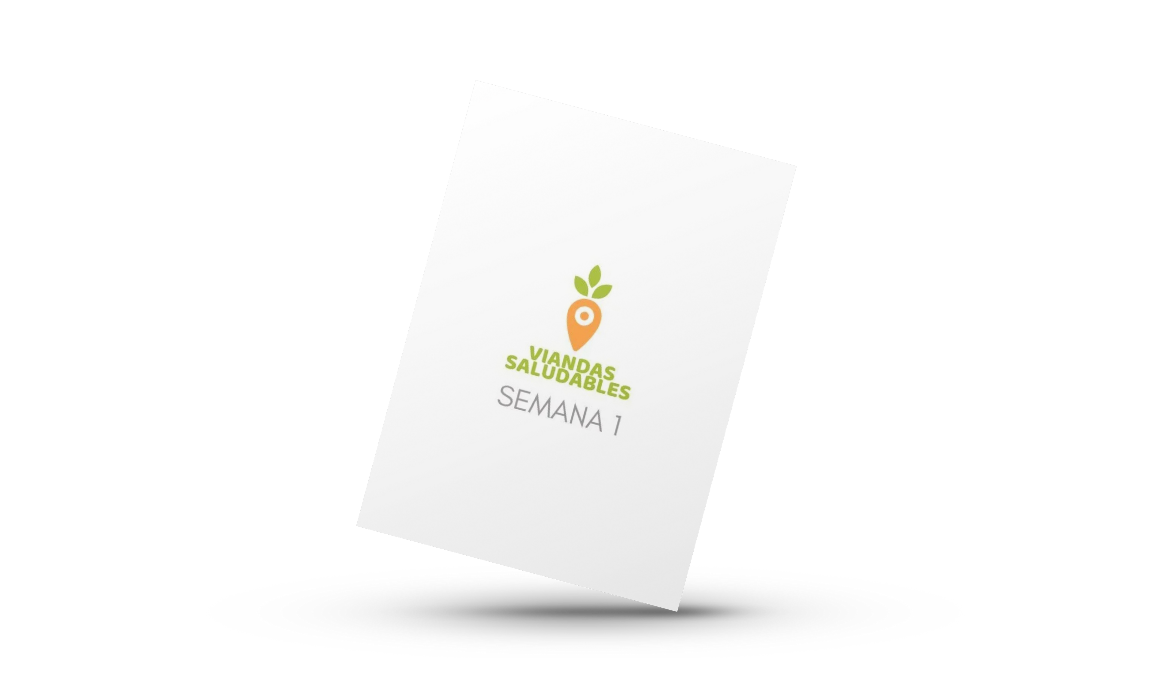 VIANDAS SALUDABLES SEMANA 1